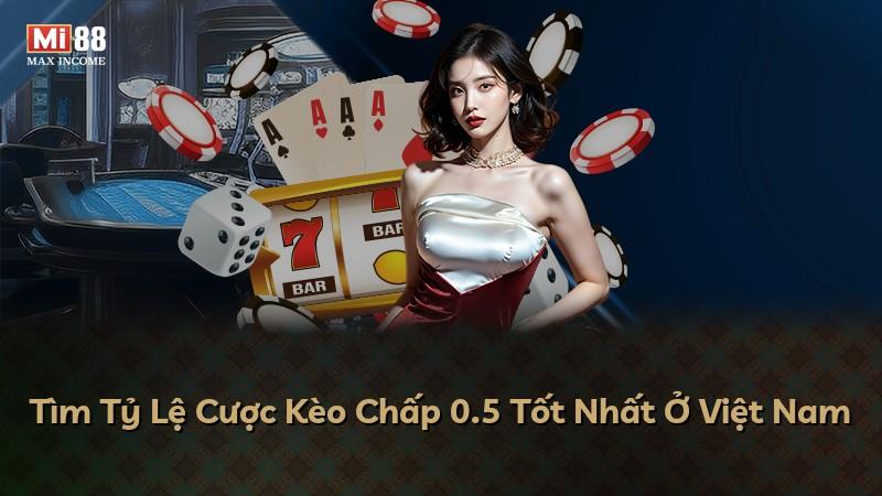 Tìm Tỷ Lệ Cược Kèo Chấp 0.5 Tốt Nhất Ở Việt Nam